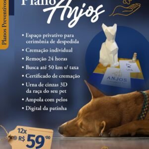 Plano Anjos