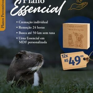 Plano Essencial