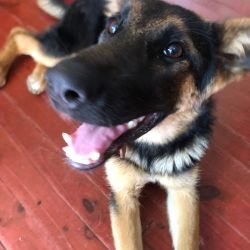 luna