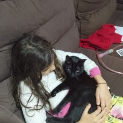 mimi