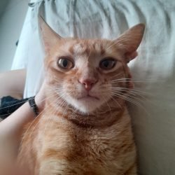 zuko